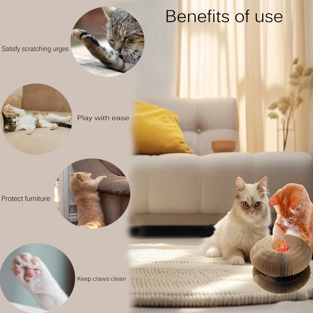 Kitty Curls® Toy Set, Magic Accordion Interactive Scratching Board with Bell Ball, Claw-Grinding Cat Scratching Board, Recyclable and Durable
